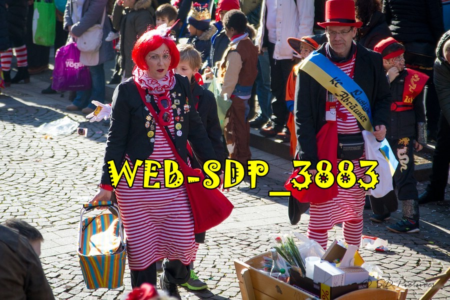 WEB SDP 3883