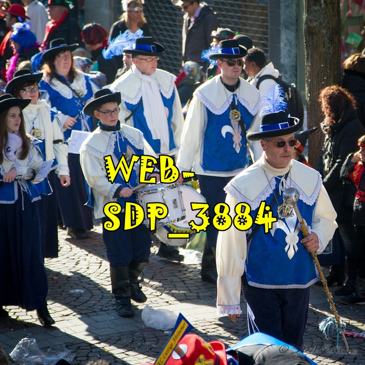 WEB SDP 3884