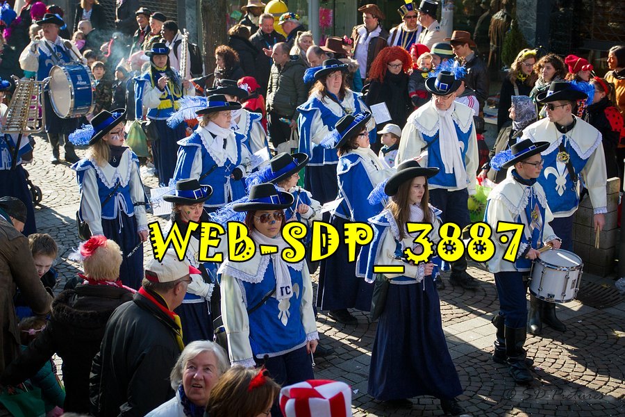 WEB SDP 3887