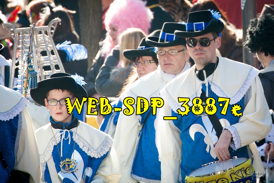 WEB SDP 3887e