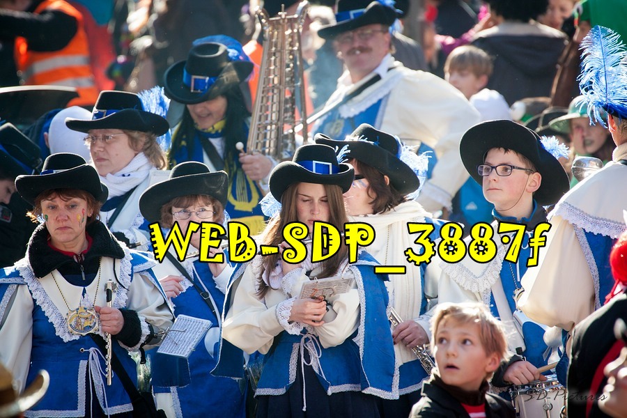 WEB SDP 3887f