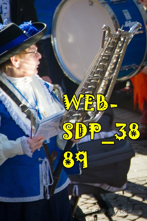 WEB SDP 3889