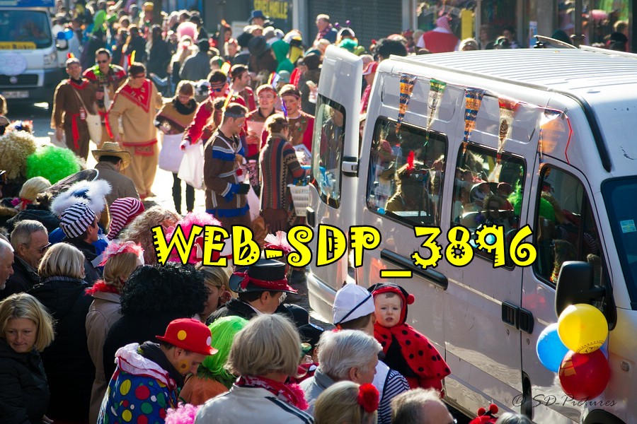 WEB SDP 3896