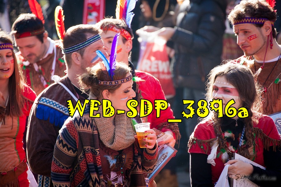 WEB SDP 3896a