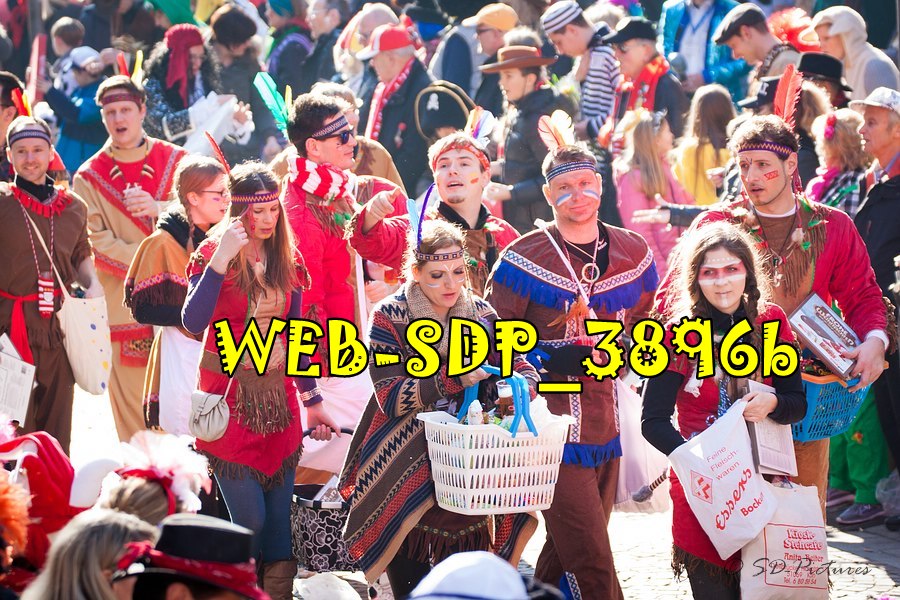 WEB SDP 3896b