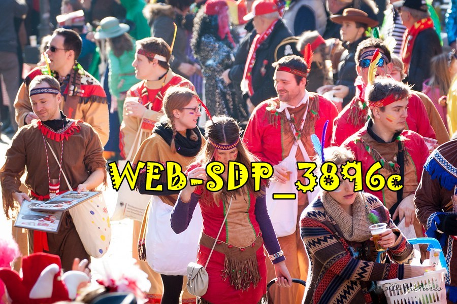 WEB SDP 3896c