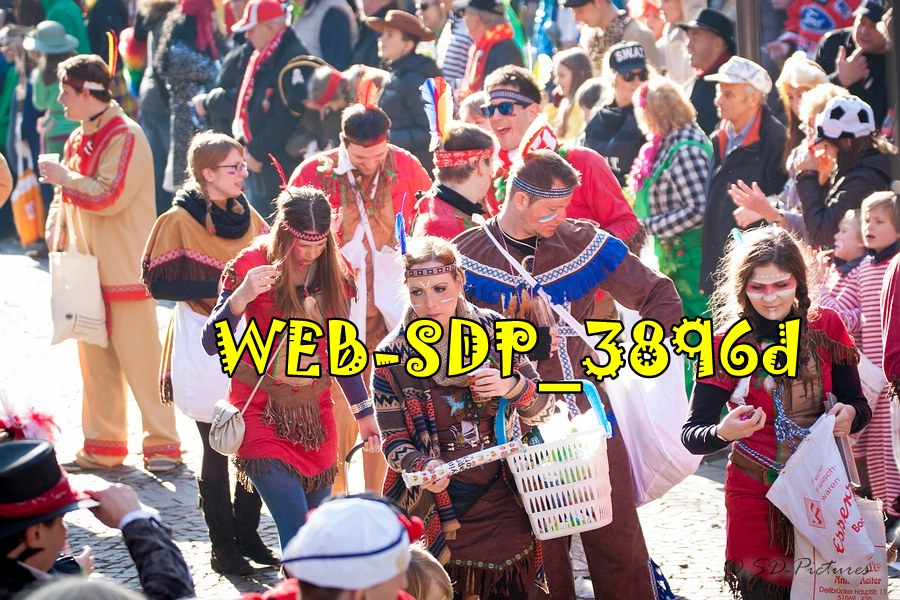 WEB SDP 3896d