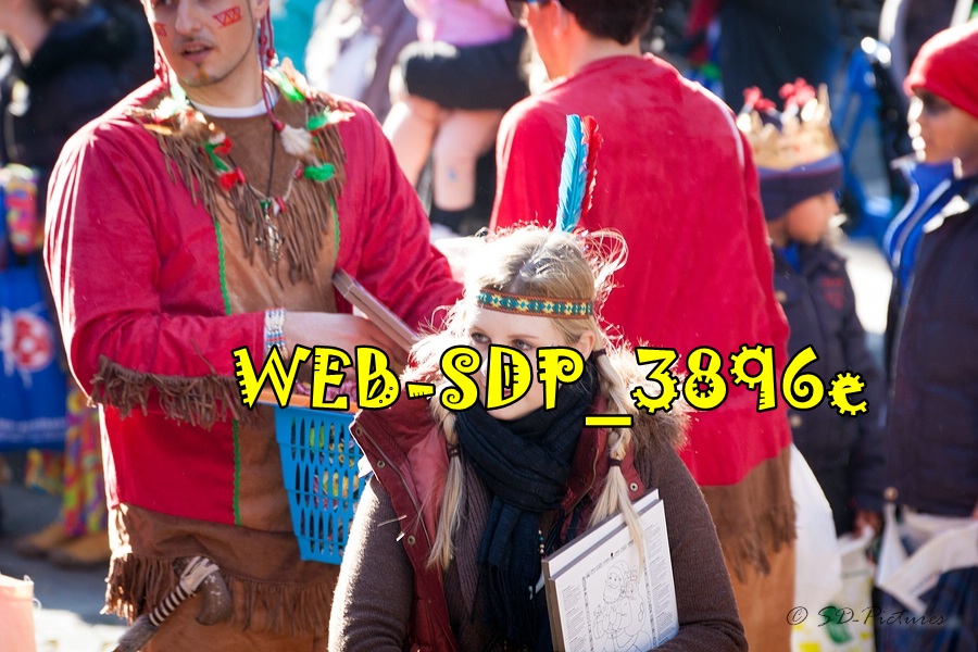 WEB SDP 3896e