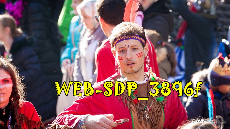 WEB SDP 3896f