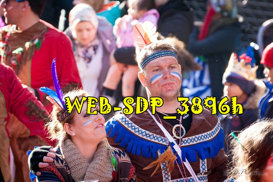 WEB SDP 3896h