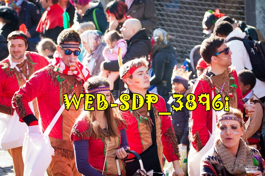 WEB SDP 3896i