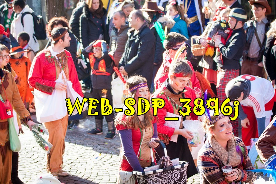WEB SDP 3896j