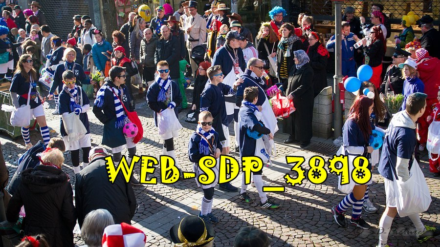 WEB SDP 3898