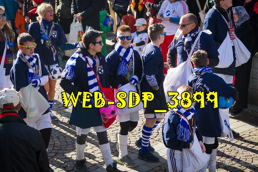 WEB SDP 3899