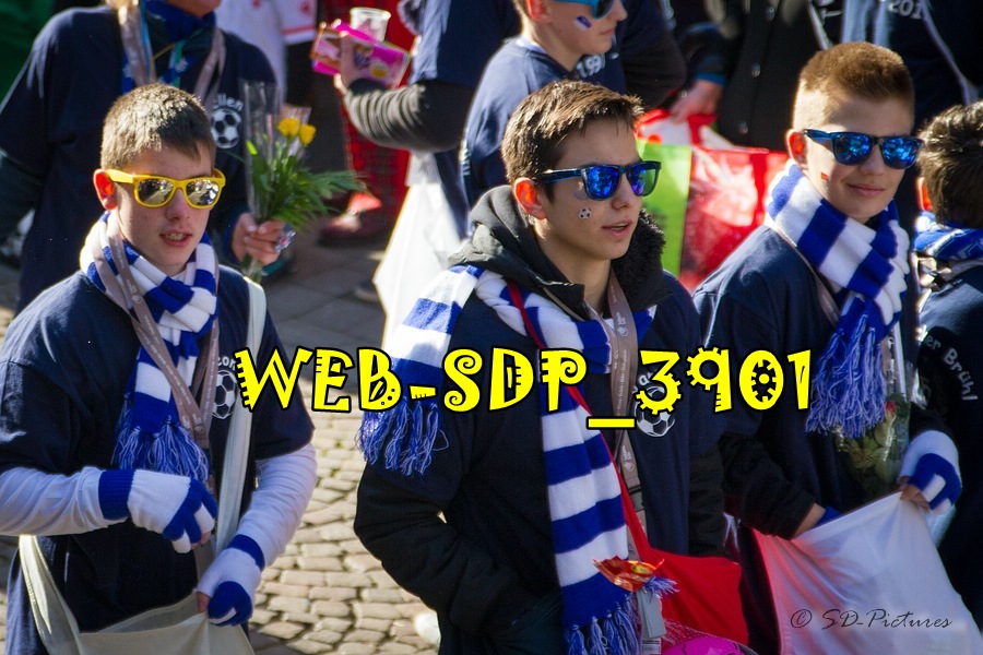 WEB SDP 3901