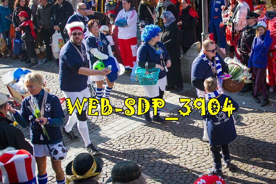 WEB SDP 3904