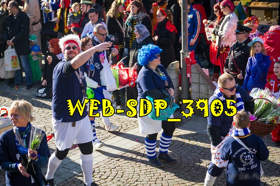 WEB SDP 3905