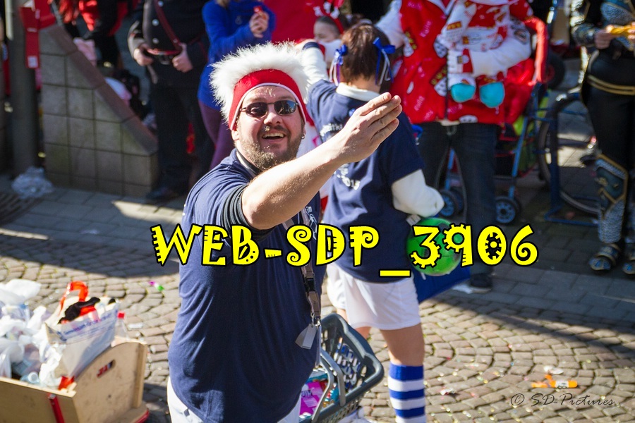 WEB SDP 3906