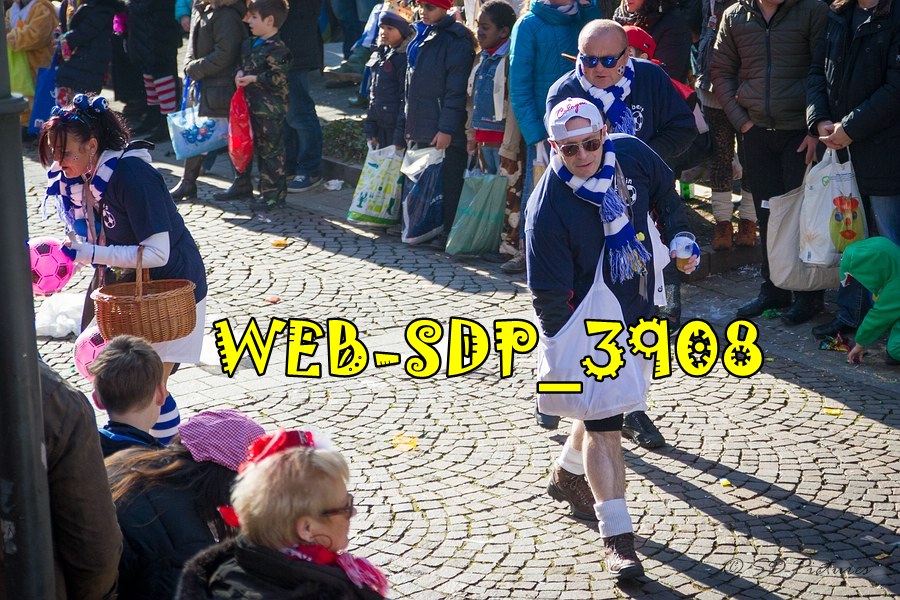 WEB SDP 3908