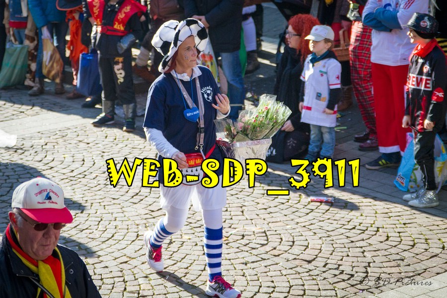 WEB SDP 3911