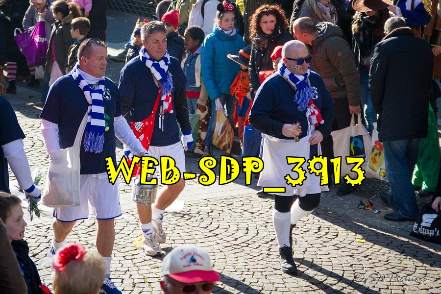 WEB SDP 3913