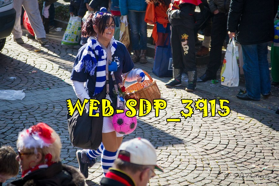WEB SDP 3915