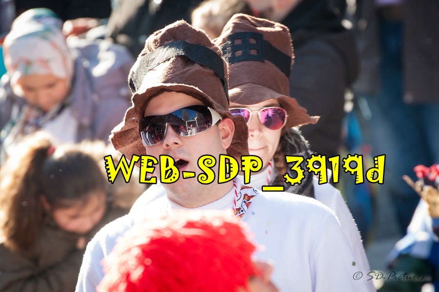 WEB SDP 3919d