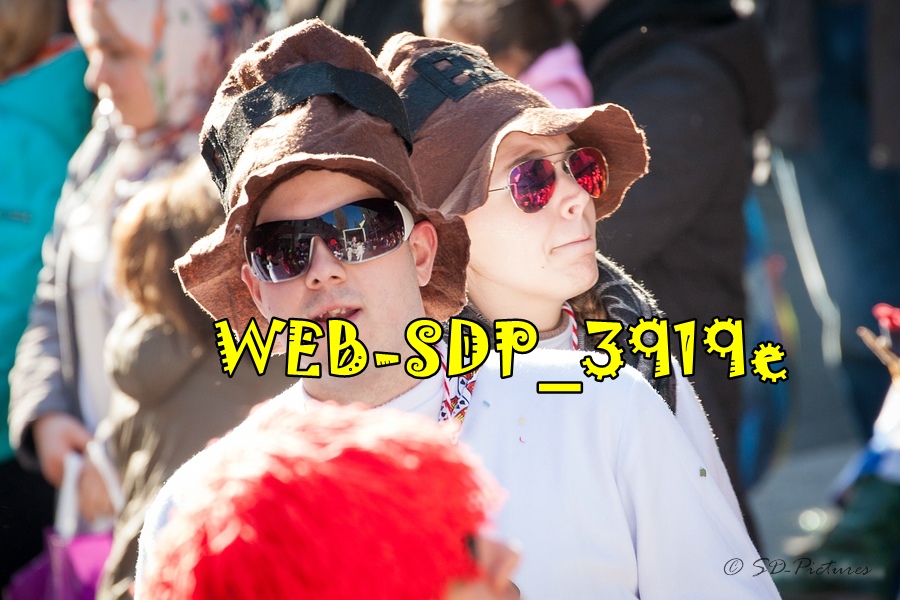 WEB SDP 3919e