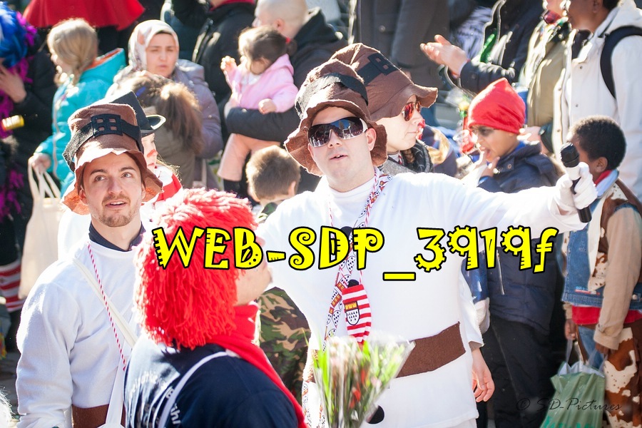 WEB SDP 3919f