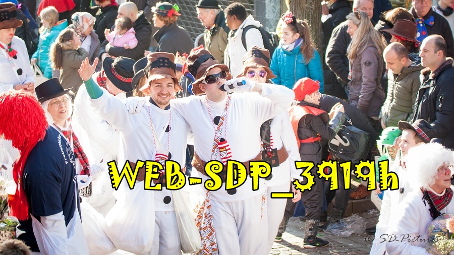 WEB SDP 3919h