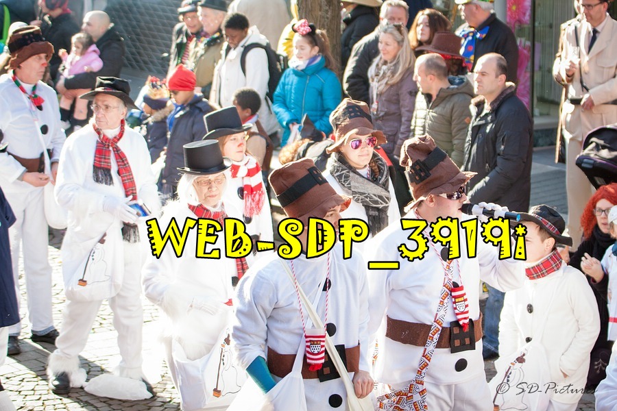 WEB SDP 3919i