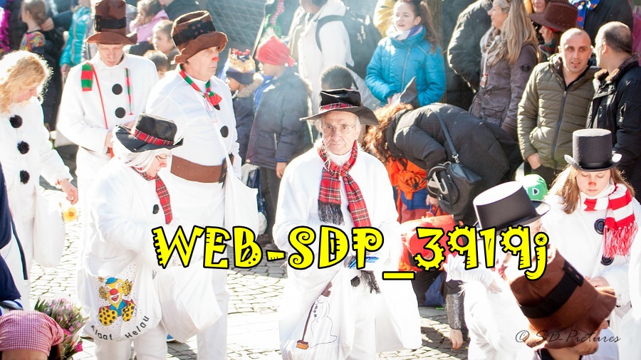 WEB SDP 3919j