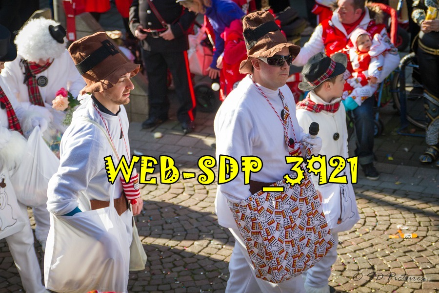 WEB SDP 3921