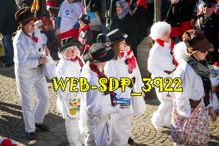 WEB SDP 3922