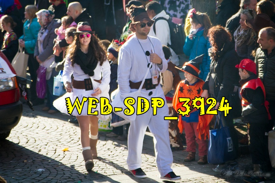 WEB SDP 3924
