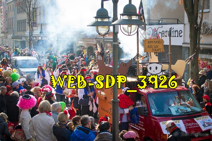WEB SDP 3926