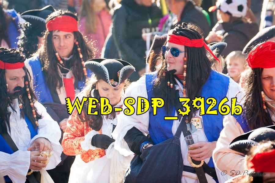 WEB SDP 3926b