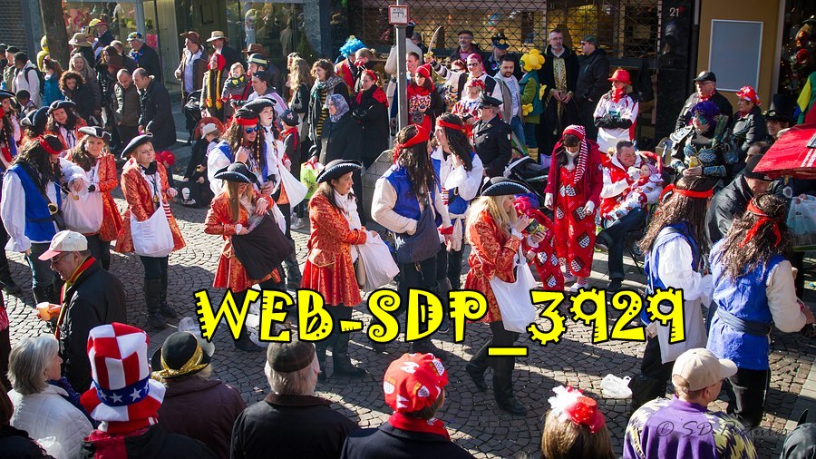WEB SDP 3929