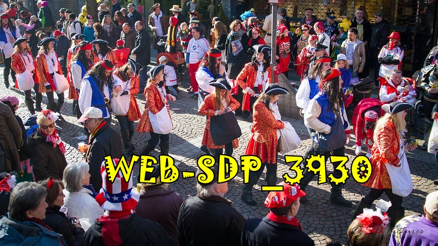 WEB SDP 3930