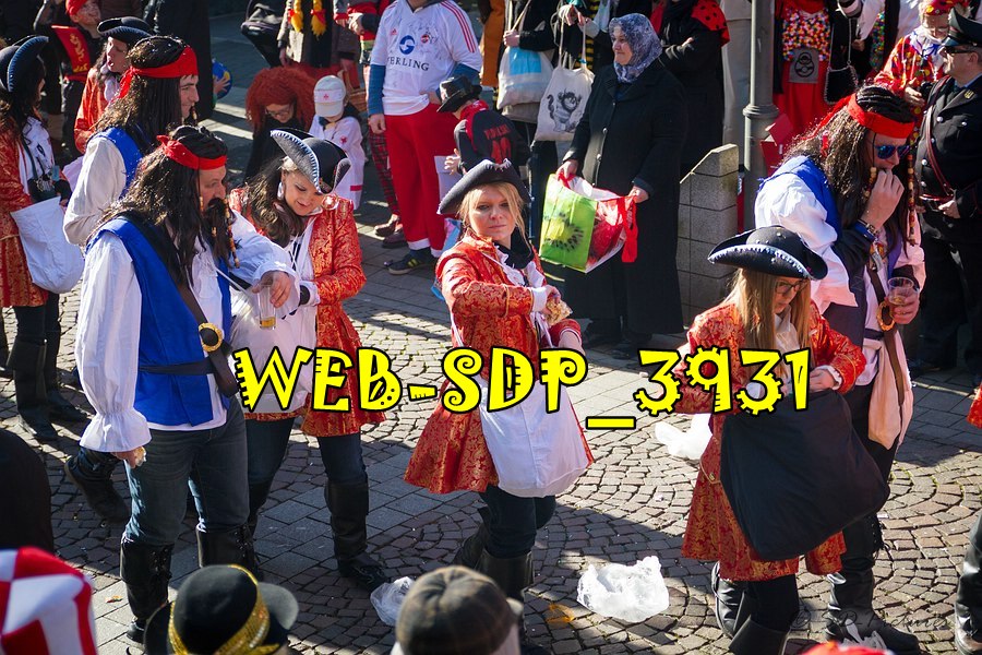 WEB SDP 3931