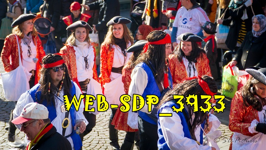 WEB SDP 3933