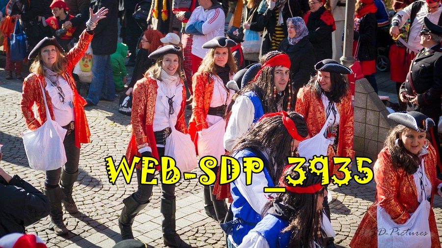 WEB SDP 3935