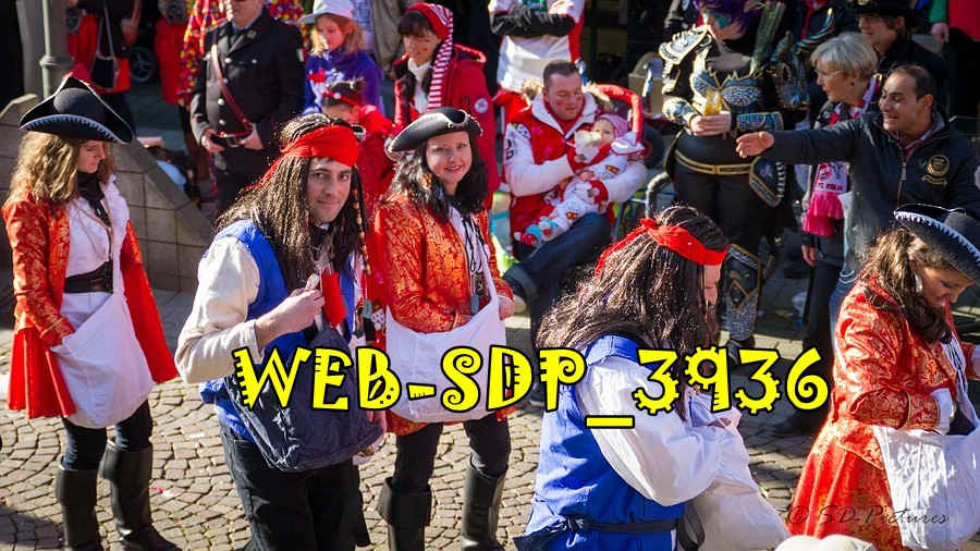 WEB SDP 3936