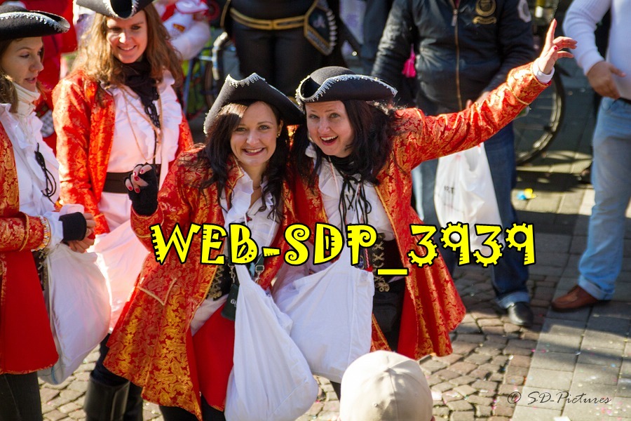 WEB SDP 3939