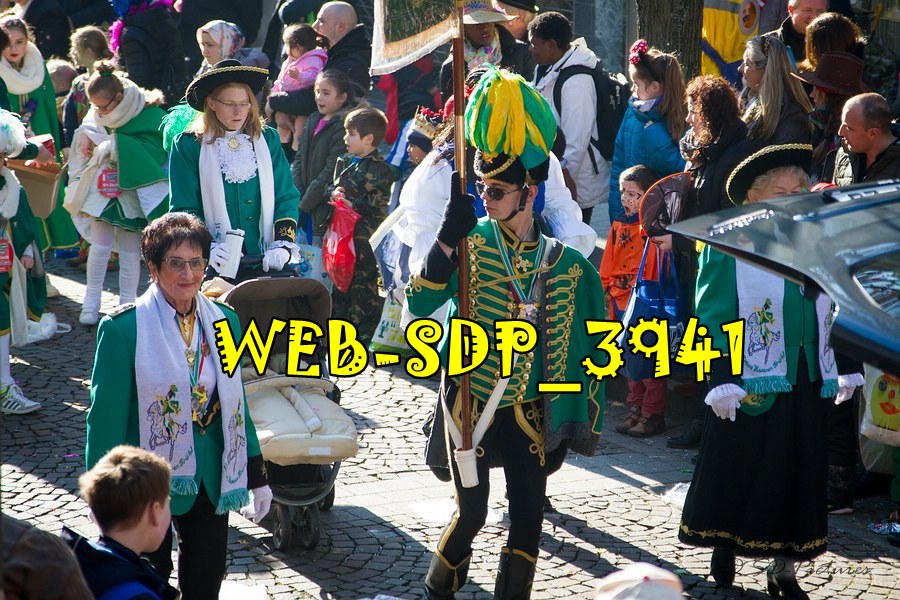 WEB SDP 3941