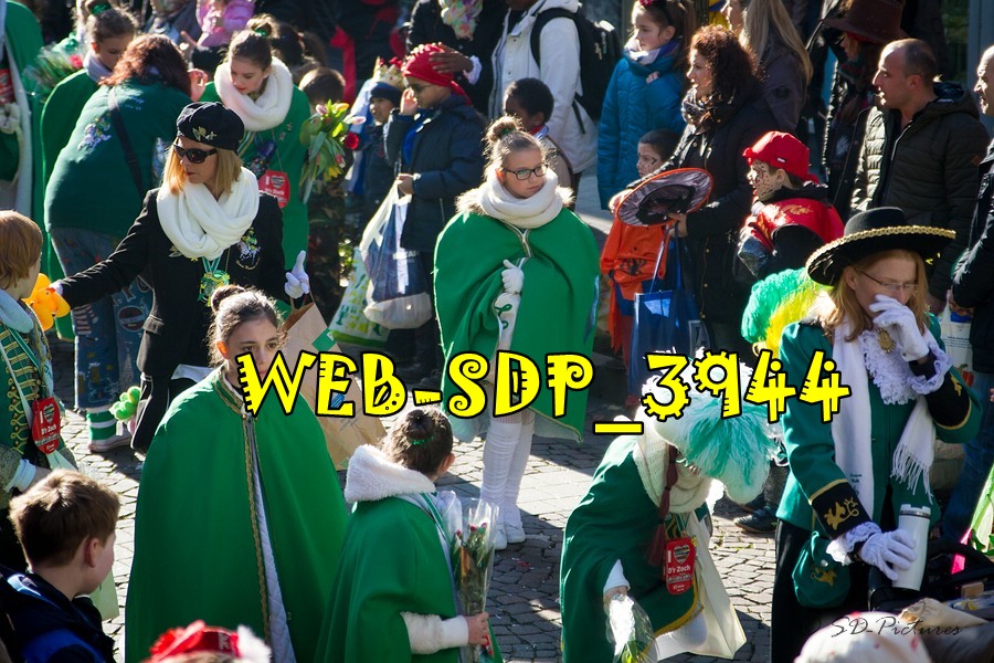 WEB SDP 3944