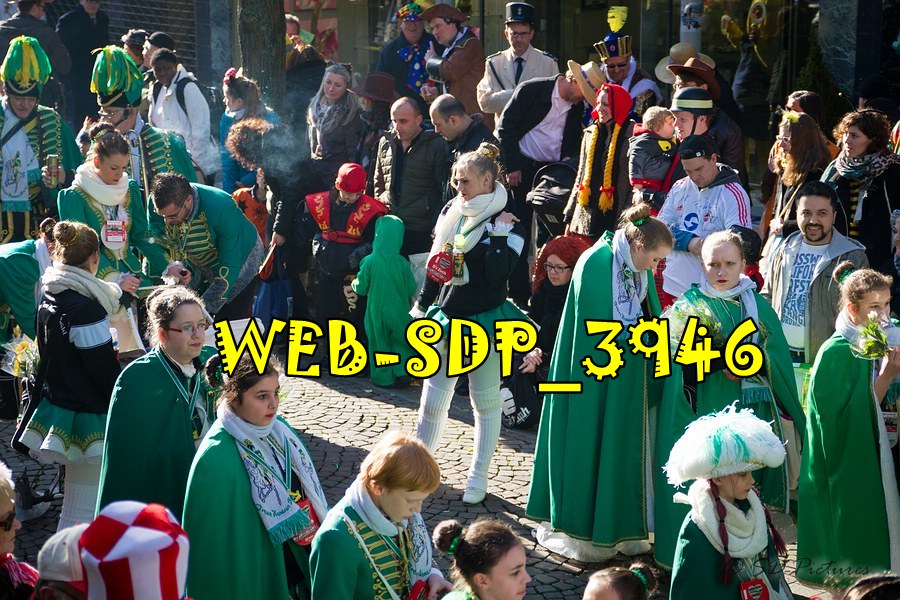 WEB SDP 3946
