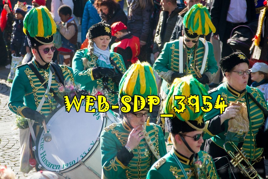 WEB SDP 3954