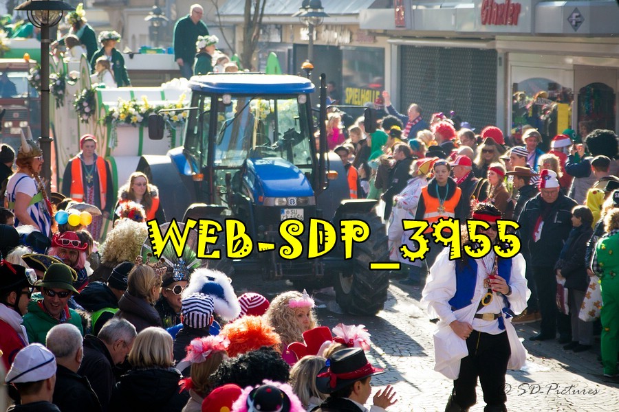 WEB SDP 3955