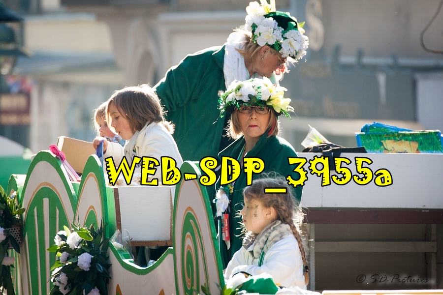 WEB SDP 3955a